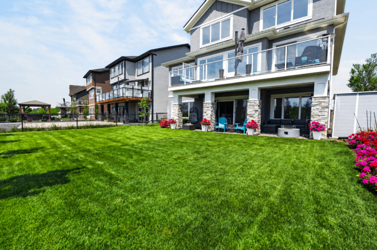 Backyard lawn and rear exterior